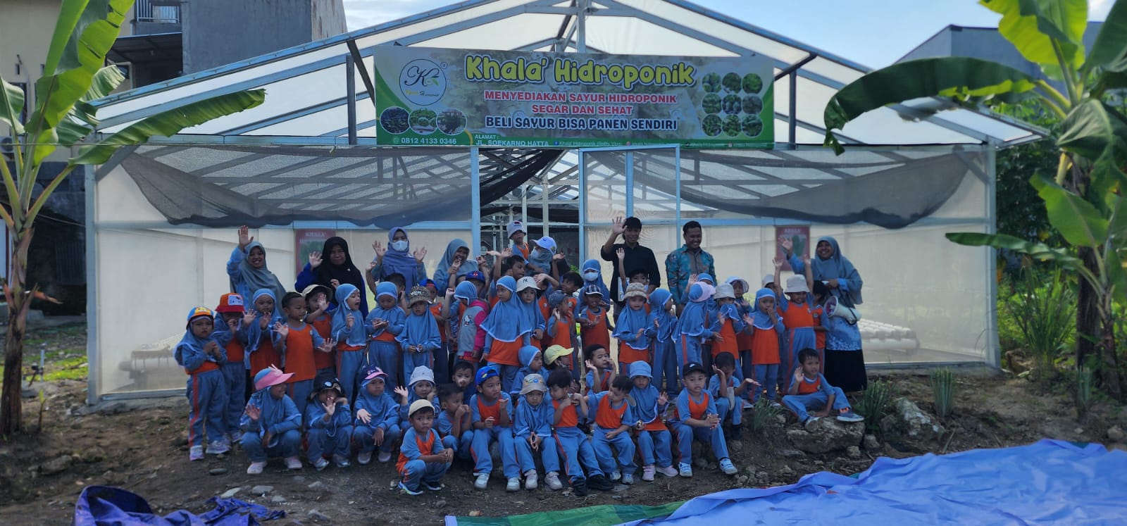 Edukasi Sejak Dini: Puluhan Anak TK Kunjungi Greenhouse Khala Hidroponik Mamuju untuk Belajar Pertanian Modern