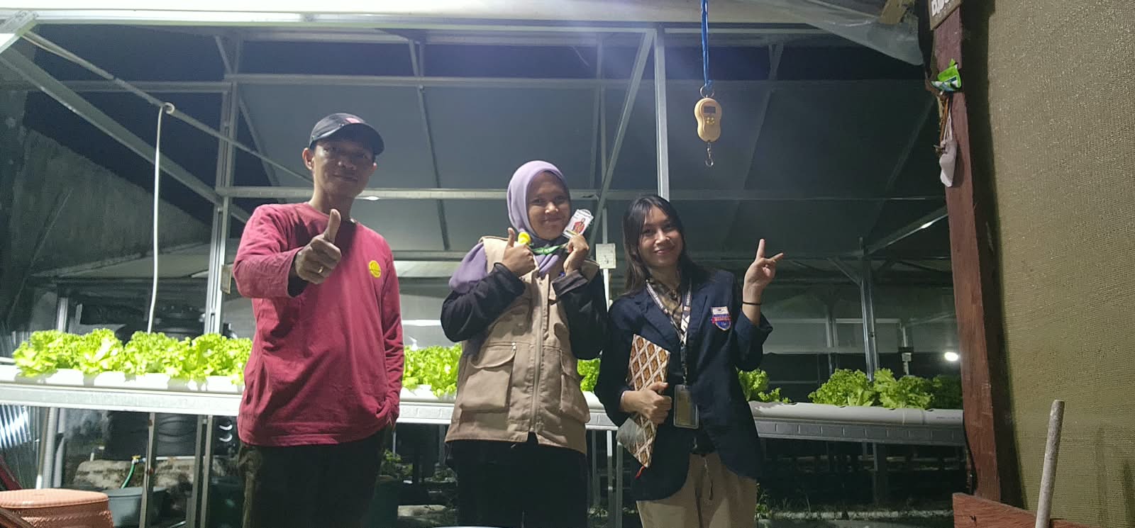 Khala’ Hidroponik Mamuju Terima Mahasiswa Universitas Bosowa untuk Kegiatan PKL
