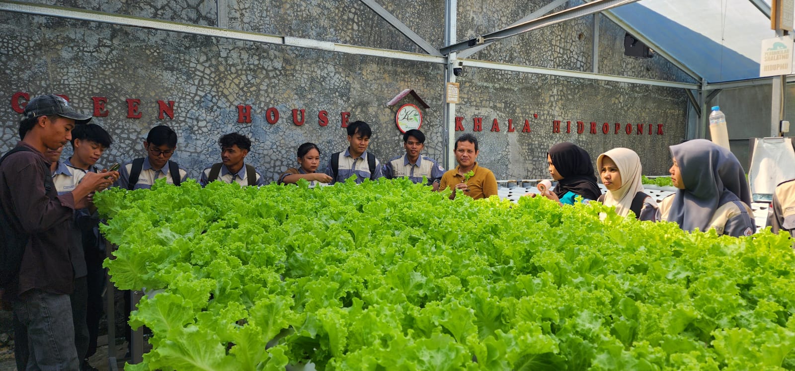“Belajar Langsung di Green House Khala’ Hidroponik, Mahasiswa Agribisnis Universitas Tomakaka Kenali Teknologi Pertanian Modern”