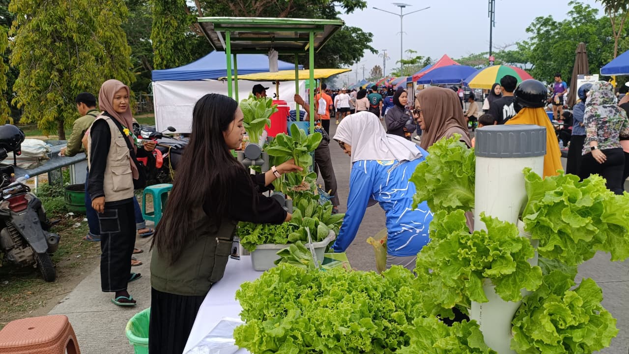 Khala' Hidroponik Hadirkan Sayuran Segar di Car Free Day